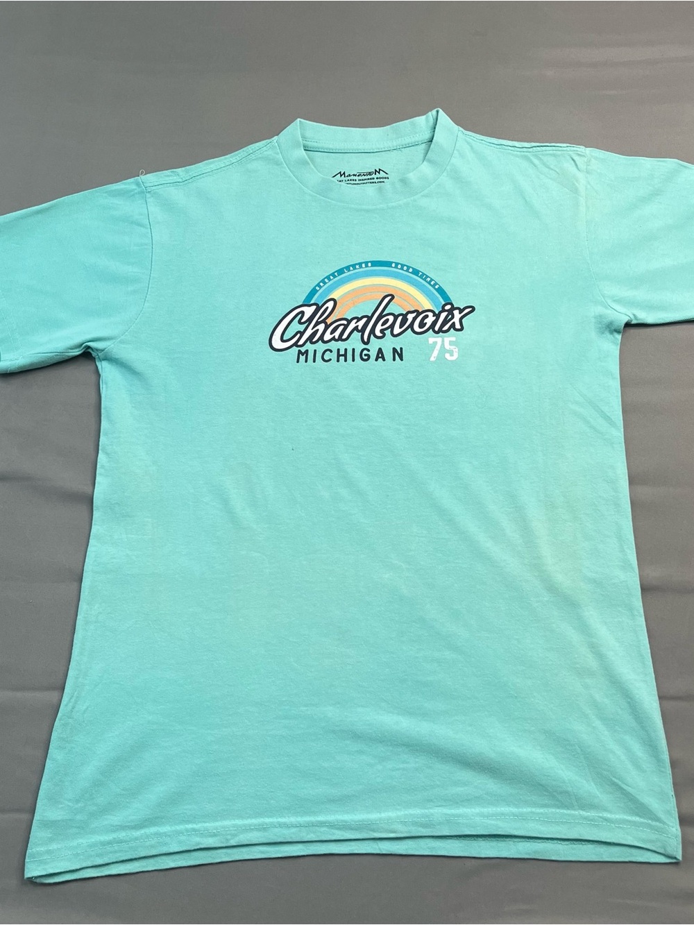 Charlevoix Graphic Short Sleeve Tee in Mint